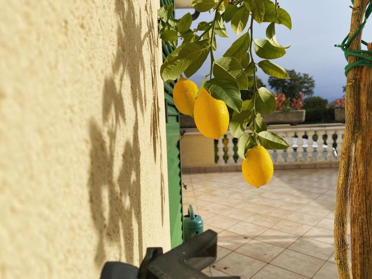 לאבין Villa Yucca Istra מראה חיצוני תמונה