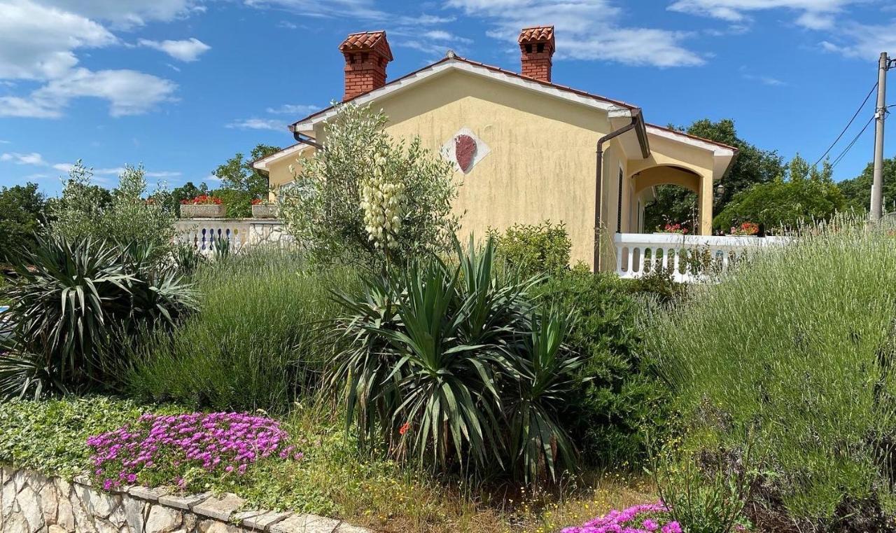 לאבין Villa Yucca Istra מראה חיצוני תמונה